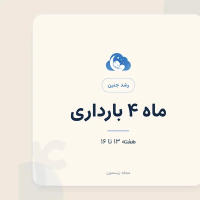 رشد جنین در هفته‌های ۱۳ تا ۱۶؛ استخوان‌سازی و حرکت